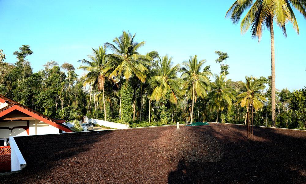 Coffee Native - A Family Homestay Mudigere