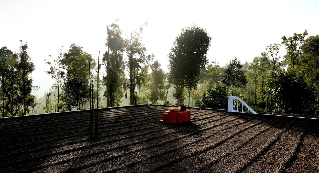 Homestay Coffee Native - A Family Mudigere